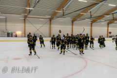 201011 AIK - Göteborg SDHL