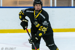 201205 AIK - Leksand SDHL