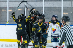 210113 AIK - Dif SDHL