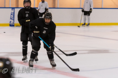 200815AIK (SDHL) Träning